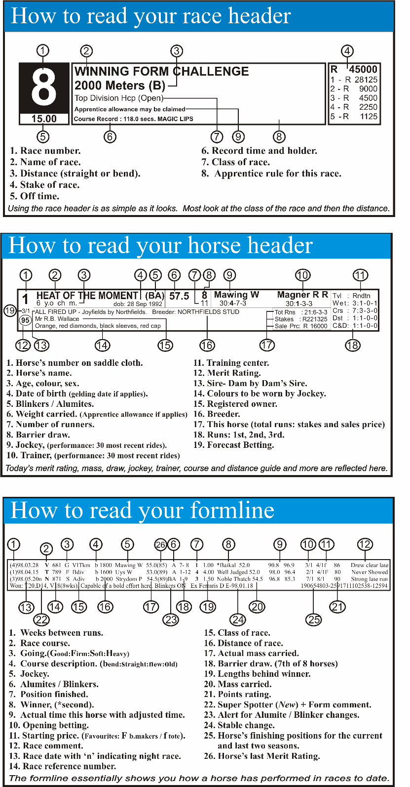 winning form tips
